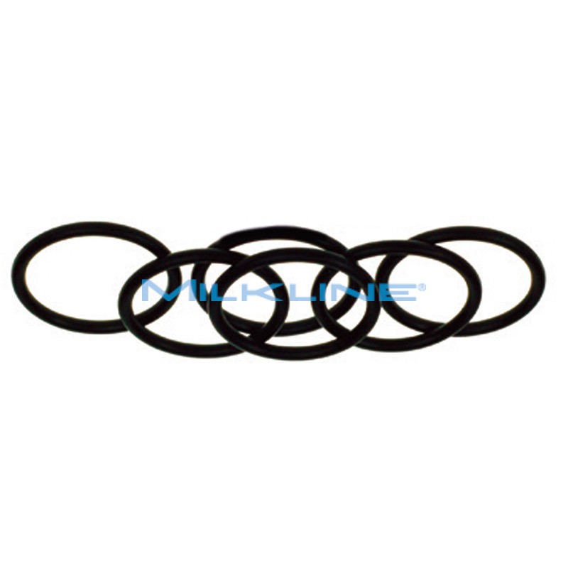 KIT 6+6 O-RING X CAMPIONATORE AMBIC