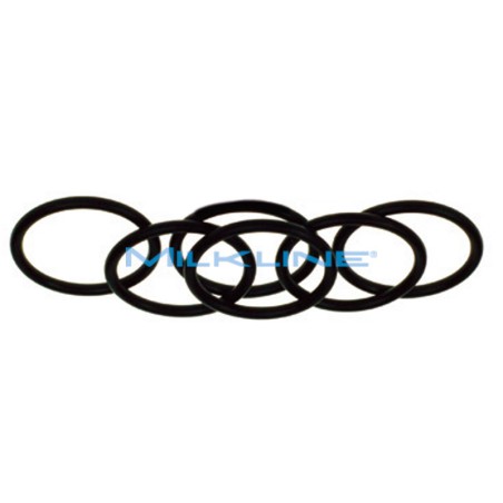 KIT 6+6 O-RING X CAMPIONATORE AMBIC