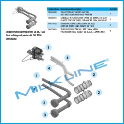GRUPPO MUNG CAPRINI PASTORE GL SIL TG20