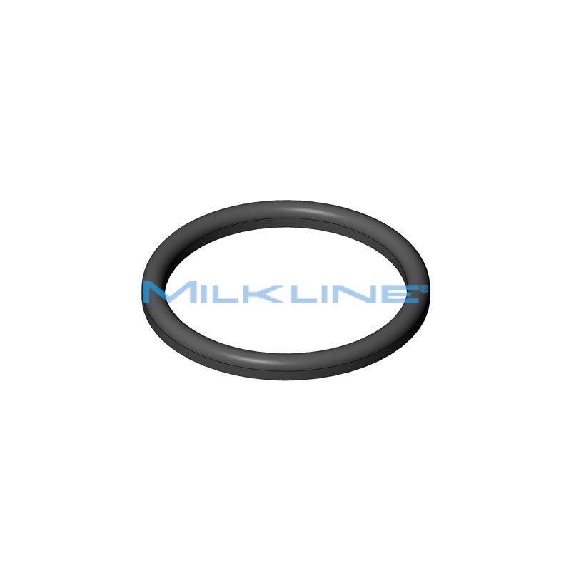 SEAL RING FOR S/S UNION DN 32