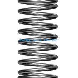 MOLLA X VALVOLA OTTONE 0640364