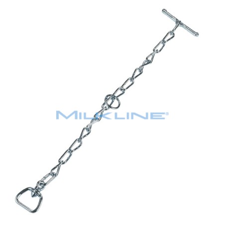 CATENA SINGOLA X COLLARI VITELLI CM.61