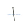 S/S SCREW M4 FOR 75 FOR MILK CLAW PASTORE