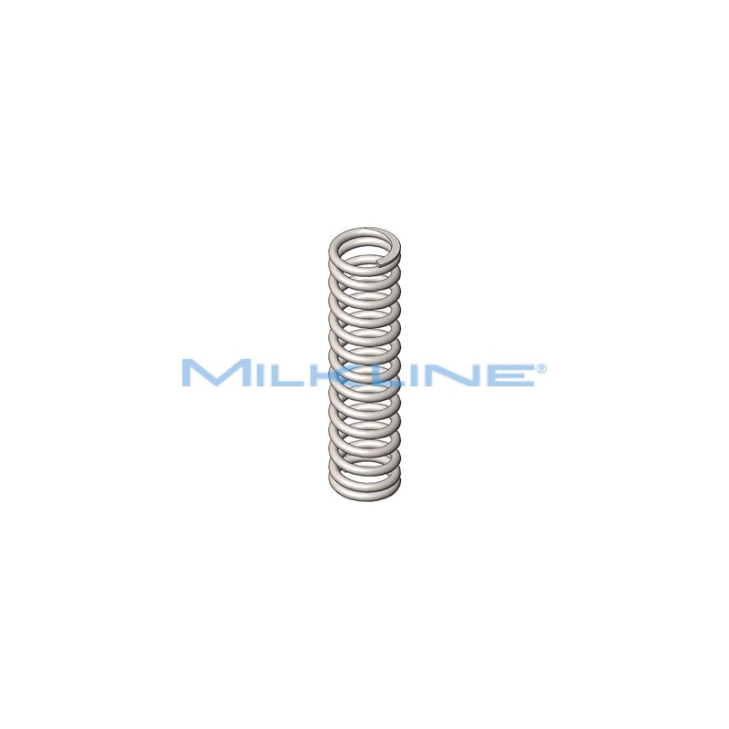 SPRING FOR METAL VALVE 1"