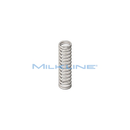 SPRING FOR METAL VALVE 1"