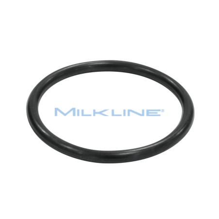 VALVE O-RING FOR DIAPHRAGM MILK PUMP