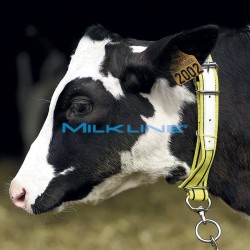 COLLARE SENZA CATENA X VITELLI