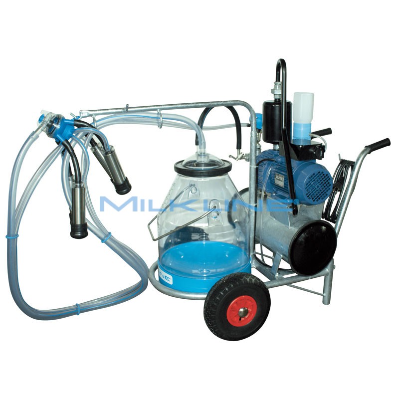 MINI 1 250L 1G N/I 1124 P30