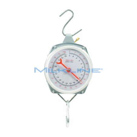 BILANCIA KG100-500GR.