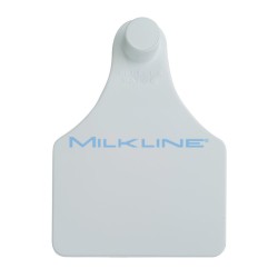 MARCA BIANCA SENIOR FEMMINA X BOVINI