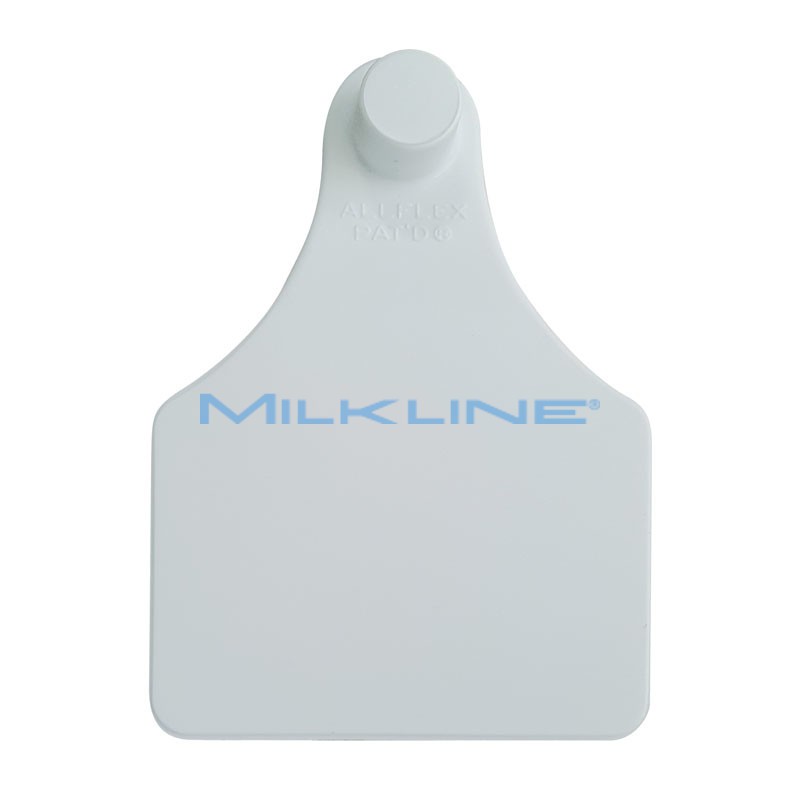 MARCA BIANCA SENIOR FEMMINA X BOVINI