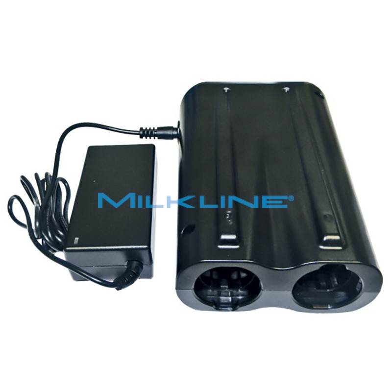 CARICA BATTERIA RAPIDO X LETTORE RS420