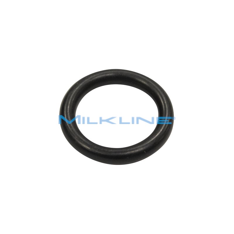 UNDER PULSATOR O-RING WF CONSTANT