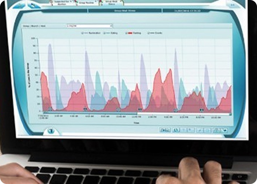 Sistemi di gestione mandria